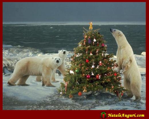 Albero natalizio con gli orsi bianchi